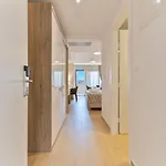 Remaneo プロマイナ